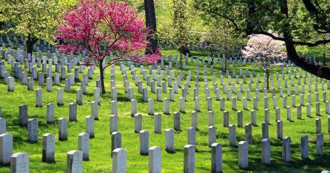 Arlingtonkyrkogården har hur många hektar?