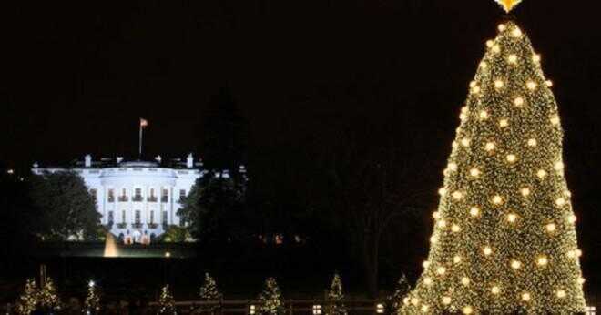 Vem var den första presidenten att använda el i Vita huset?