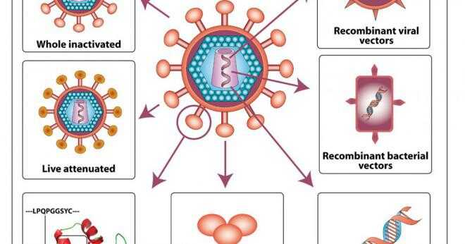 Varför är det svårt för forskare att utveckla ett vaccin som är effektivt mot HIV?