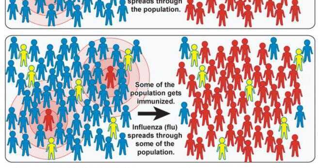 Hur fungerar ett vaccin främjar immunitet?