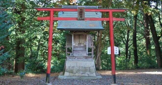 Hur många grenar av Shinto finns det?