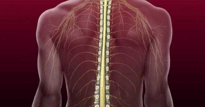 Vad gör diffusa dicc utbuktning utplåna den ventrala aspekten av thecal sac och måttlig tillplattning av ryggmärgen suggestiva måttlig ryggmärgen stenos innebär?