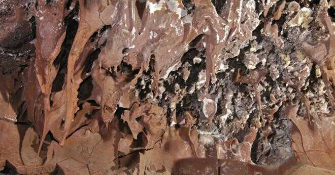 Grottor och bergrum bildas i carbonate vaggar av vad?