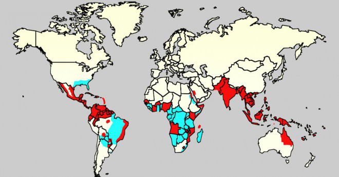 Vad sprider malaria?