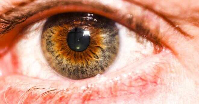 Som ögonskugga färger ser bra ut med grå blå ögon?