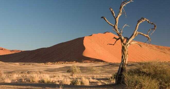 Vilken öken täcker en stor del av Namibia?