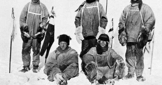 Vilken mat åt Robert Falcon Scott i Antarktis?