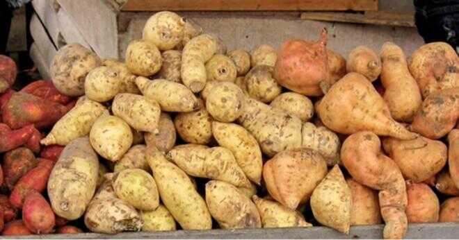Hur länge bör du mikrovågsugn en söt potatis?