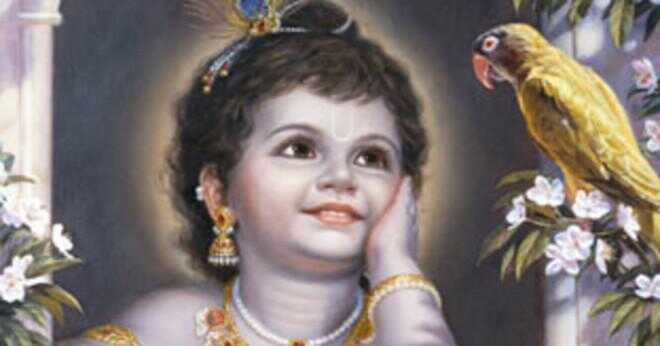 Hur kunde jag bli en Hare Krishna-anhängare?