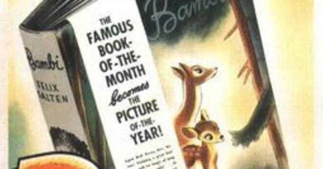 Vad är en bambi?