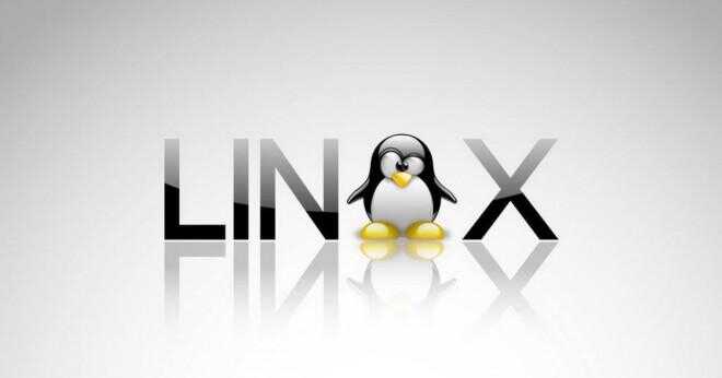 Vad är man fdisk i Linux?