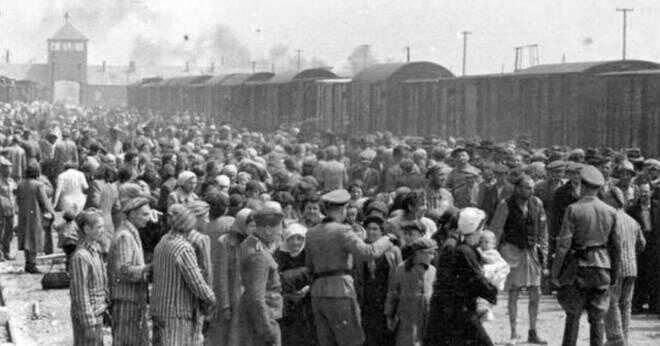 Hur många människor fanns det i koncentrationslägret Auschwitz under förintelsen?