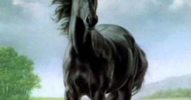 Vad är namnet på den vita hästen i filmen Black Beauty?