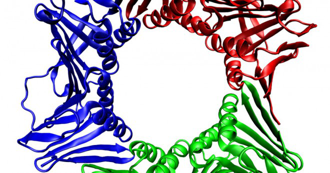 Vilka enzym infogar virus-DNA i värdens kromosomala DNA?