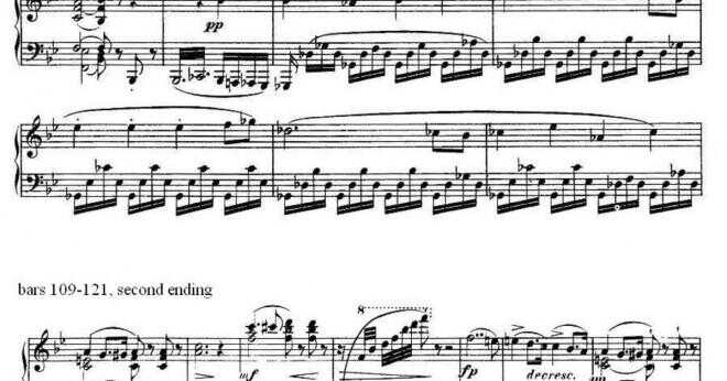 Vad gjorde förutom skriva musik Franz Schubert?