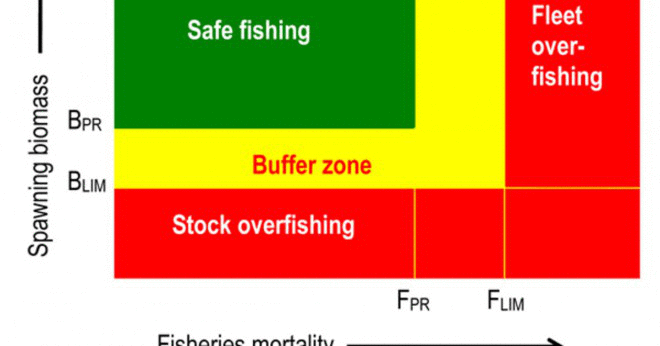 Varför uppstår överfiske?