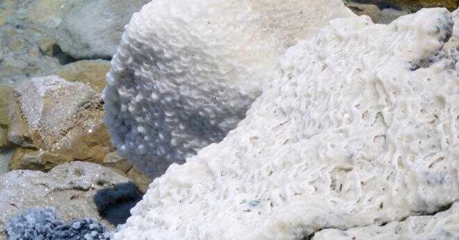 När betningen kan du ersätta grovt salt med havssalt?