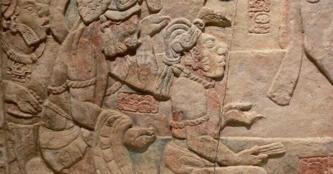 Vilka tre förklaring ges för kollapsen av Mayakulturen?