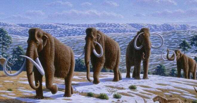 När levde mammutar?