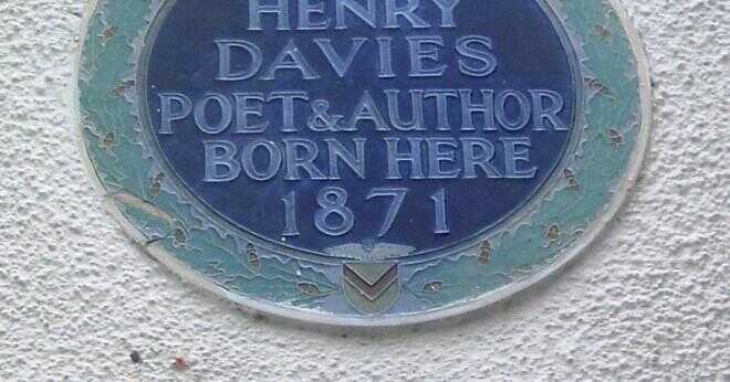 Vad är en sammanfattning av dikten fritid av William Henry Davies?