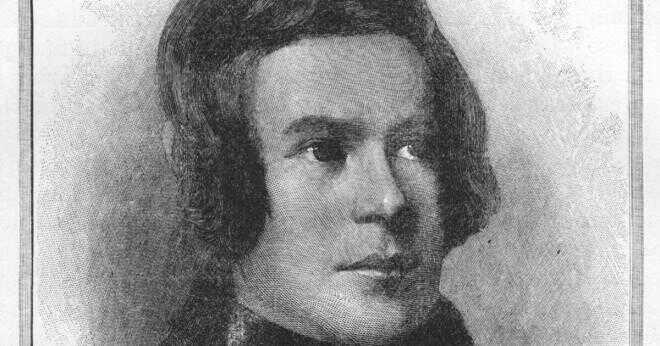 Vad ville Robert Schumann ursprungligen bli?