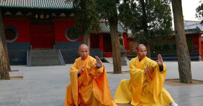 Hur lång tid tar det att lära sig chang quan Kung Fu?