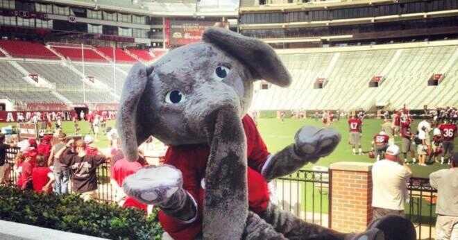 Varför har University of Alabama en elefant för en maskot?