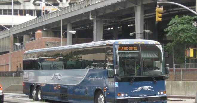 Hur mycket kostar greyhound buss biljetter från Texas till Michigan?