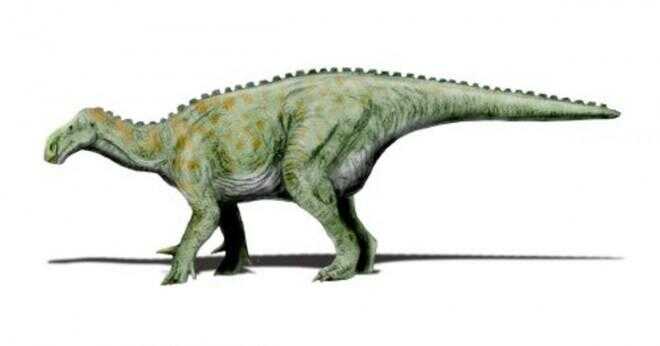 Vad betyder den iguanodon namn?