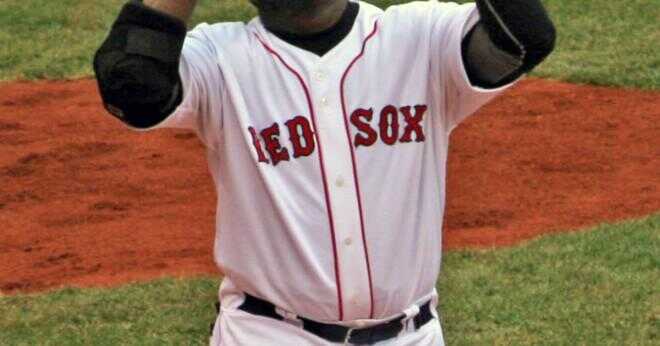 Vad var det ursprungliga namnet Boston Red Sox?