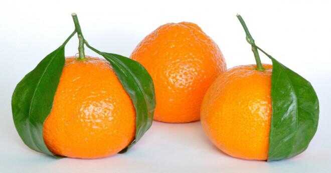 Vad är en korsning mellan en tangerine och en orange?