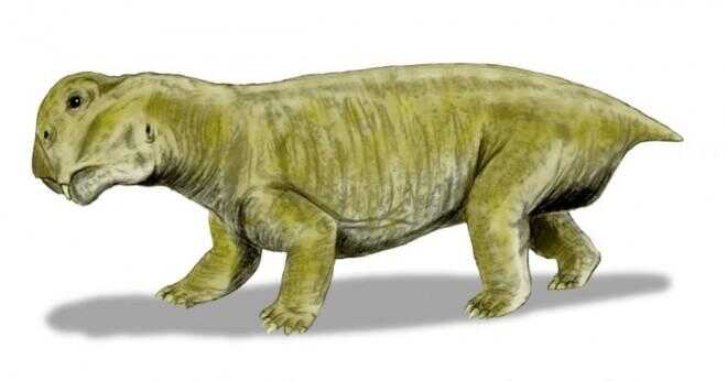 Vilken grupp av gigantiska djur en gång bodde under Trias och Jura perioder?