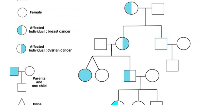 Kan någon ärva cancer genetiskt?