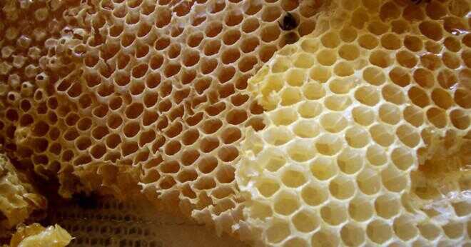 Vad är fördelen med denna hexagonala struktur av honung kam?