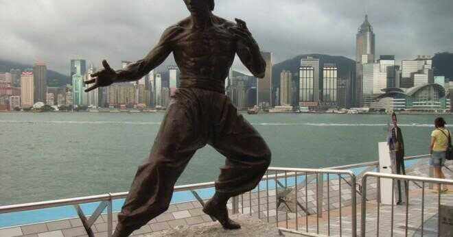 Var Bruce Lee riktigt bra?