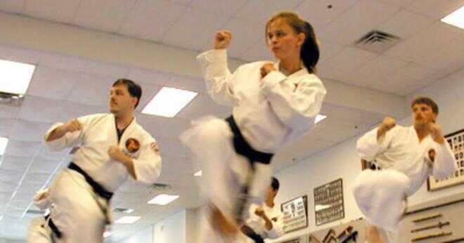 Vilka är de fyra stora stilen av karate?