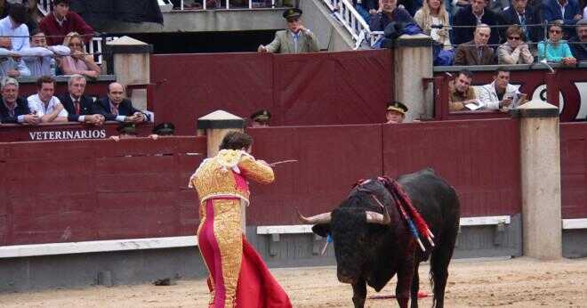 Är tjurfäktning kostym folkdräkt i Spanien?