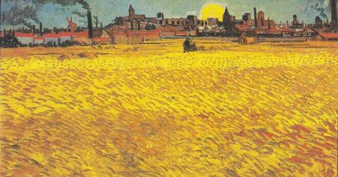 Varför valde Vincent Van Gogh att rita och måla vad han gjorde?