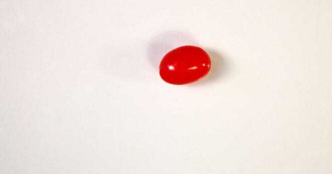 Vem uppfann jellybean?