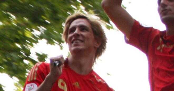 Hur gammal var Fernando Torres när han började sin karriär?