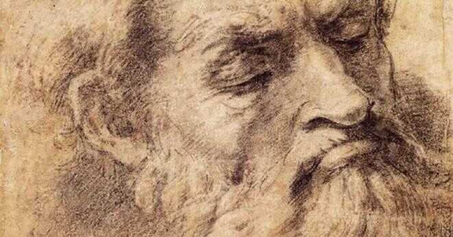 Har Leonardo da Vinci har epilepsi?