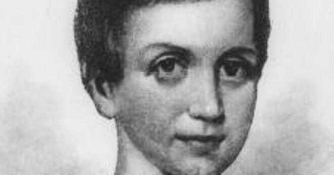 Hur såg Emily Dickinson ut?