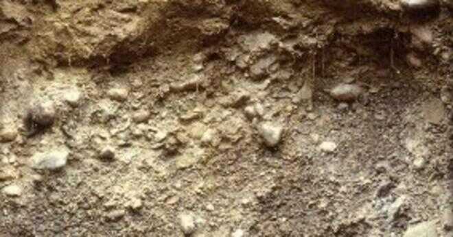 Hur gör du blanda sand på Neopets?