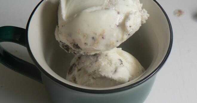 Kan du använda nonfat yoghurt för att göra hemmagjord fryst yoghurt?