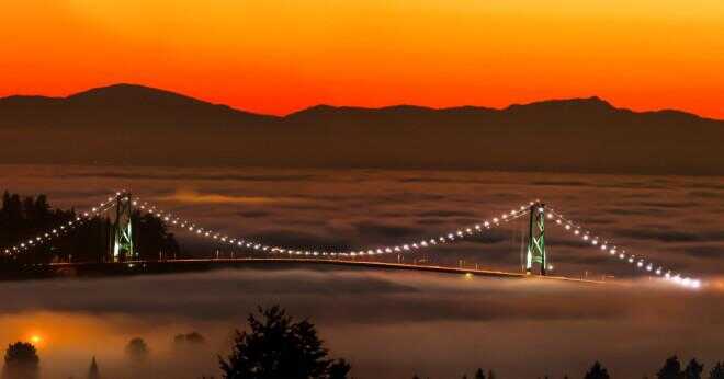 Varför är Golden Gate-bron grön?