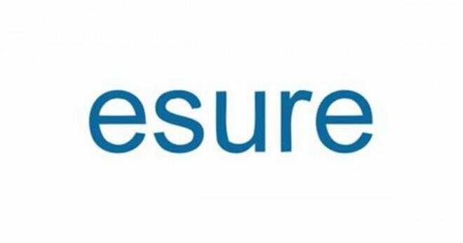 Har Esure försäkring erbjudande reseförsäkring?