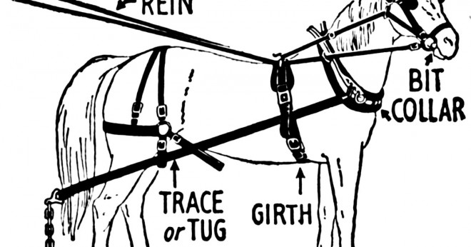 Vad är remmarna används för att styra hästen?