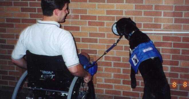 Amerikanerna with Disabilities Act tjänst djur?