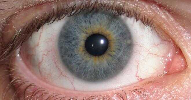 Hur ärvs blå ögon och bruna ögon?