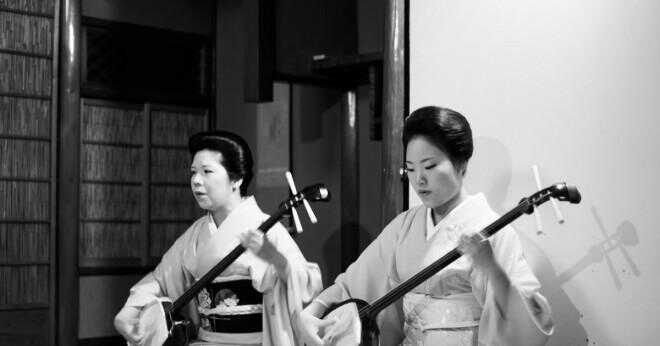 Vad är en geisha roll eller jobb?
